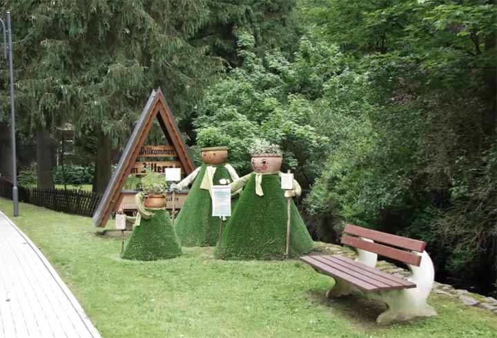 Würzeln Altenau