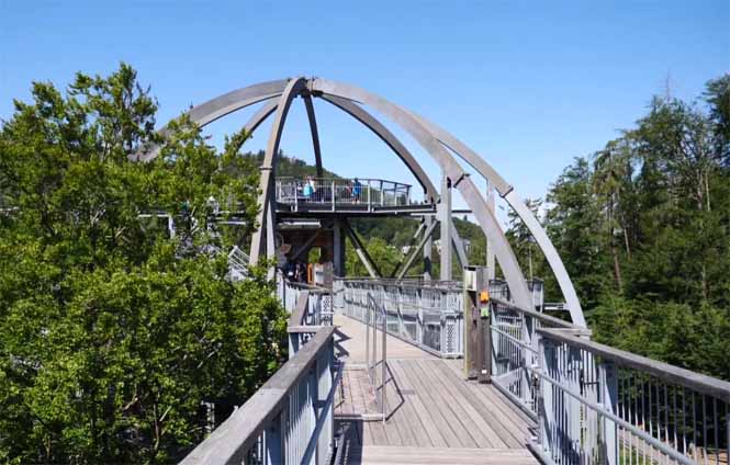 Tussen de boomtoppen wandelen in Bad Harzburg