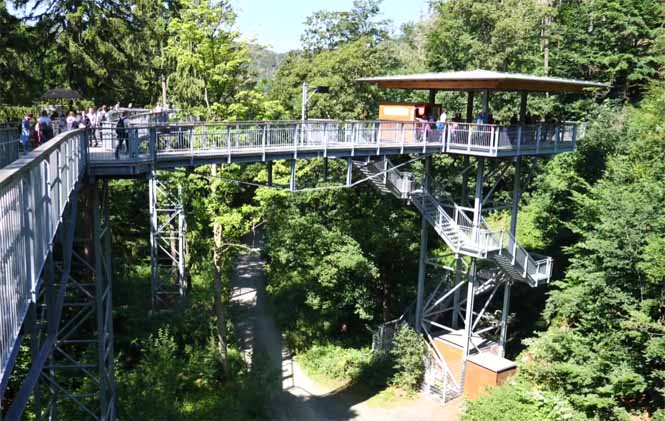 Baumwipfelpfad Harz