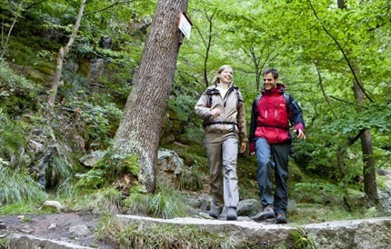 Weekendje weg Harz